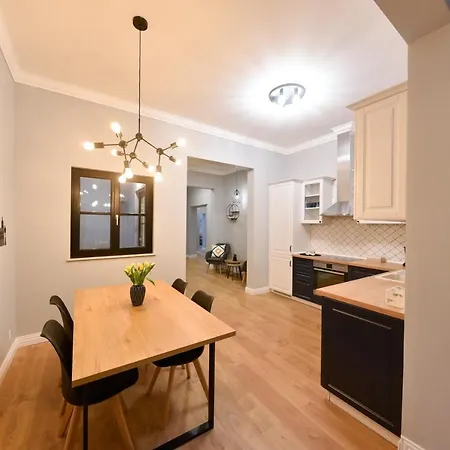 아파트 Victoria's Old Town Deluxe (adults Only) 티미쇼아라